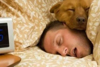 Dormir con la mascota: cuáles son los efectos 