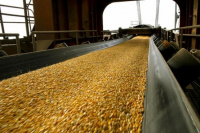 Argentina volverá a exportar aceite de soja a China