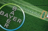 Bayer insistirá en el cobro de regalías en soja en el país