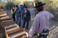 La Secretaría de Ambiente junto con la comunidad Talquenca trabajan en un proyecto de apicultura