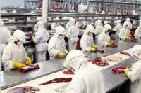 En septiembre, Argentina exportó el mayor volumen de carne desde 2010