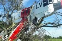 Avión se estrelló contra un árbol y murió el piloto