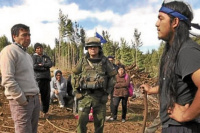 Así ven el conflicto mapuche en Chile