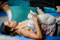 Yoga con gatos: la terapia que es furor