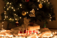 Navidad: por qué armamos el arbolito el 8 de diciembre