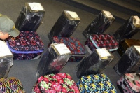 Encontraron 400 kilos de cocaína en la escuela de la Embajada rusa en Argentina