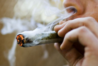 Según un estudio, la marihuana deteriora la capacidad intelectual de manera irreversible