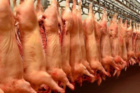 Después de 20 años, Argentina habilitó el ingreso de carne de cerdo norteamericana