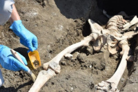 Hallan restos óseos de una de las víctimas de la erupción del Vesubio