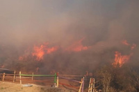 Incendios en San Luis son cinco los principales focos de fuego. 