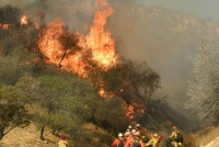 Ya llegan a 29 las muertes por incendios en California