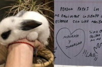 Viral: el niño que compró un conejo a escondidas y pidió perdón con una tierna carta