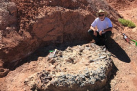 Descubren un cementerio de animales de 220 millones de años en Ischigualasto