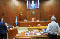 En vivo: el Senado sesiona por videconferencia y en San Juan lo siguen de cerca 