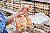 Industria avícola: En San Juan hasta 250 pesos el precio de un maple de huevos 