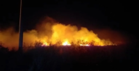 El viento Zonda provoco un gran incendio en Pocito que quemó 4 hectáreas de pastizales