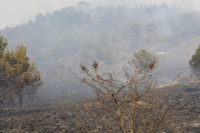 Tras seis meses llovió en Córdoba y permitió extinguir los incendios forestales