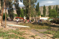 Calingasta: por el fuerte viento, un árbol cayó y destrozó el techo de una casa