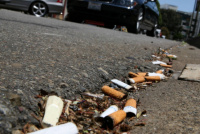 Diputada sanjuanina presentó un proyecto para multar a quien tire colillas de cigarrillo en la calle