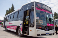 Intentó robar un celular en una unidad de la Red Tulum y quedó atrapado en las puertas del colectivo