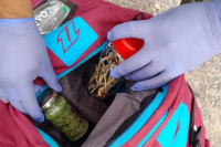 Atrapan a un cordobés con marihuana y hongos alucinógenos en Jáchal
