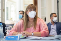 La ministra de Salud participó en un nuevo encuentro del Consejo Federal de Salud