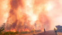 Solo quedan 6 focos de incendios en Corrientes