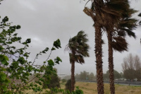 Atención: Anuncian la llegada de fuerte viento Sur a San Juan