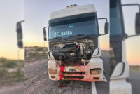 25 de Mayo: Camión chocó a un caballo en plena ruta