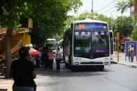 Para mejorar la Red Tulum, crean el Consejo Comunitario de Transporte Público