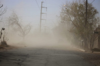 Alertan por la llegada de un fuerte viento del sector sur para la noche de hoy en la provincia