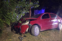 Perdió el control de su auto, chocó contra un árbol y salió ilesa