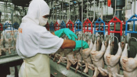 Aumento de hasta 50% para trabajadores de la industria de Carnes, Avícolas y Pesca 