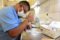 Estudian en el país ocho casos sospechosos de hepatitis grave de origen desconocido