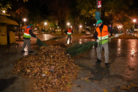 Capital no para: desde la hora cero, se realizó un operativo intensivo post viento zonda