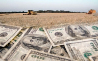 El Banco Central creará el “dólar campo”, que regirá hasta fines de agosto
