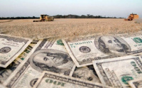 El Banco Central creará el “dólar campo”, que regirá hasta fines de agosto