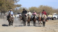 Jornada de fiesta y celebración en la XX Cabalgata a la Difunta Teresa en Angaco