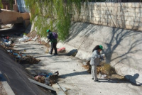 Limpieza en el canal Benavidez: levantaron 4 camionadas de basura en 5 cuadras
