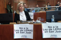 La Diputada Nancy Picón se refirió a la Ley de Lemas: Qué dijo