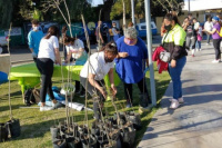 Rivadavia intercambiará material reciclable por árboles