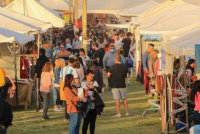 Más de 30 mil personas disfrutaron de la 1° Feria Nacional de Artesanías en Angaco