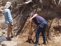 Revelaron detalles sorpresivos de los restos óseos encontrados en Valle Fértil