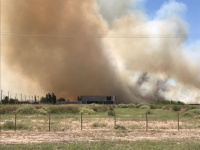 Un incendio de grandes dimensiones quemó varias hectáreas en Pocito 