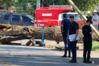 Una rama cayó y mató a un motociclista en Capital