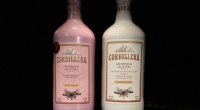 Cordillera Gin: La bebida sanjuanina que ganó el oro en Londres