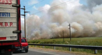 Incendio en Villa Gesell: 20 dotaciones de bomberos intentan apagar las llamas