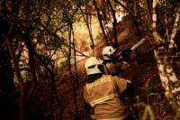 El Gobierno chileno confirmó 22 muertos y 11 desaparecidos como consecuencia de los incendios