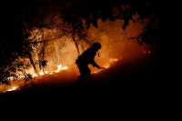 Argentina envió brigadistas y recursos para combatir los incendios forestales en Chile