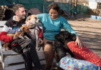Un humilde refugio de animalitos busca ganar un premio para seguir cuidando a más de 90 perros y gatos